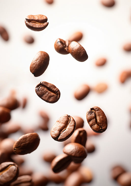 Are Oily Coffee Beans Really the Best? Dispelling Common Myths